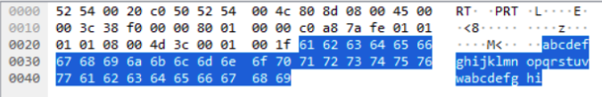 Wireshark Ping Packet Data