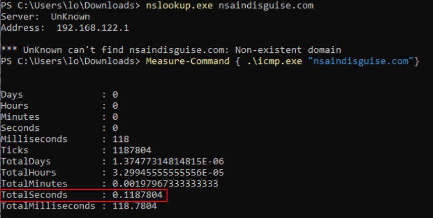 nslookup nsaindisguise.com